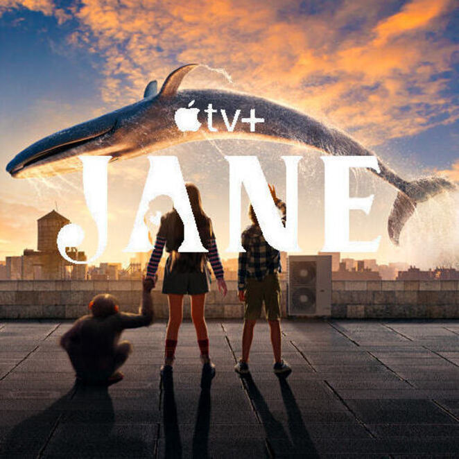 Download Jane (Season 1-2) English Series In 720p [200 MB] | 1080p [500 MB]